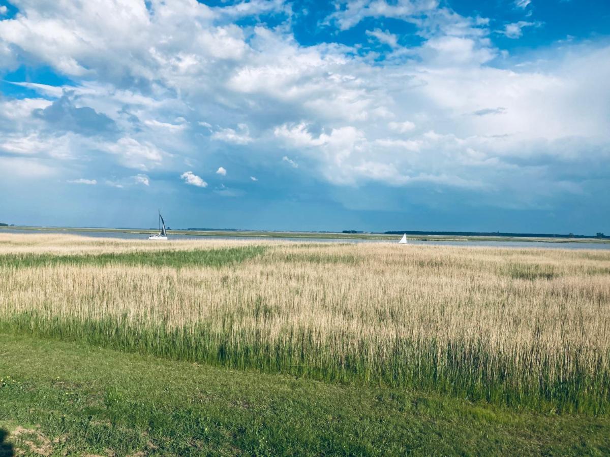 Fewo II Villa Nicole Hafenstrasse 37 Zingst Eksteriør bilde